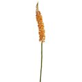 Dare2Decor 48 in. Fox Tail Artificial Flower, Orchid - Set of 3 DA1836431